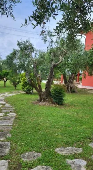 Villa Bice In Versilia Pietrasanta