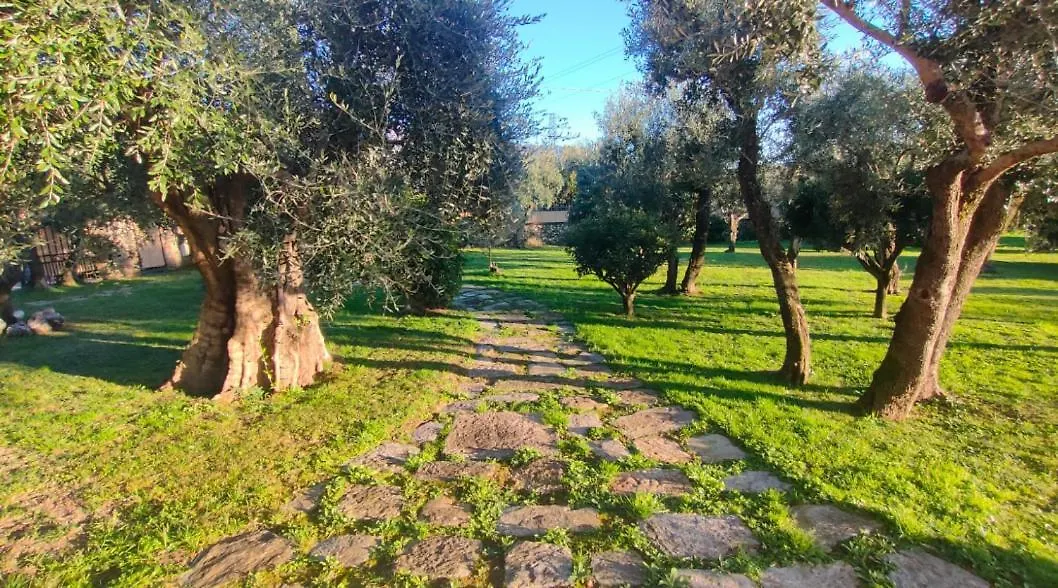 Villa Bice In Versilia Pietrasanta Italia
