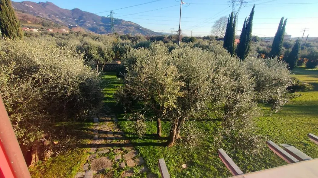 Villa Bice In Versilia بيتراسانتا