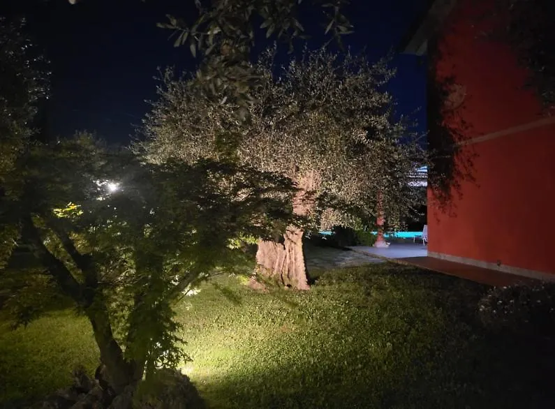 Villa Bice In Versilia Pietrasanta